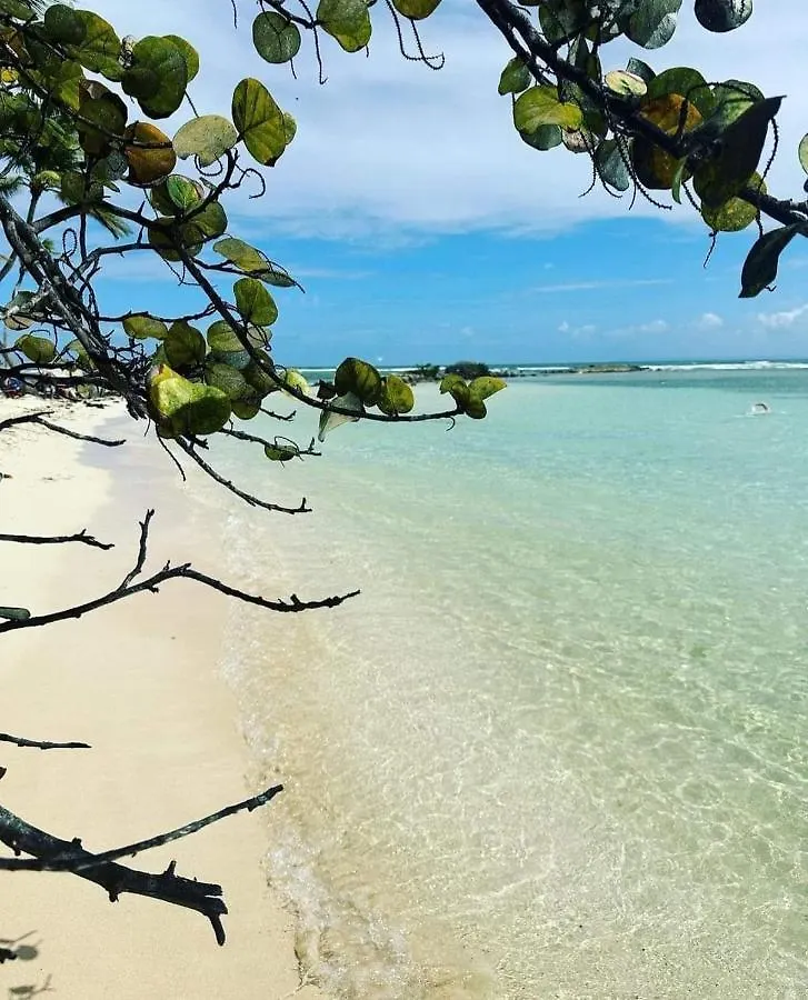 Beau Meuble F3- Vue Mer Le Moule Guadeloupe